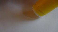 dsc00390.jpg