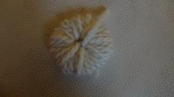 dsc00422.jpg