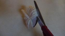 dsc00423.jpg