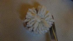 dsc00425.jpg