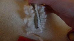 dsc00428.jpg